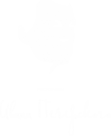 Логотип компании Truffaldino