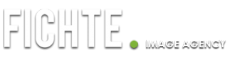Логотип компании Fichte