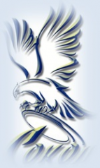 Логотип компании СОКОЛ