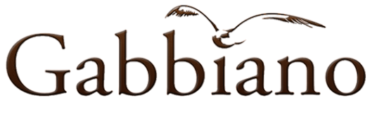 Логотип компании Ария Брайд Габбиано