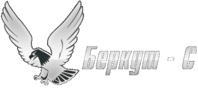 Логотип компании Беркут-С