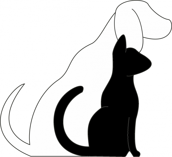 Логотип компании ЗООРИТУАЛ42